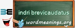 WordMeaning blackboard for indri brevicaudatus